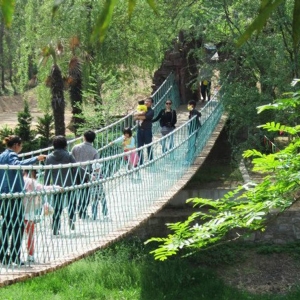 水上吊橋